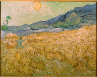 Weizenfeld mit Schnitter bei aufgehender Sonne